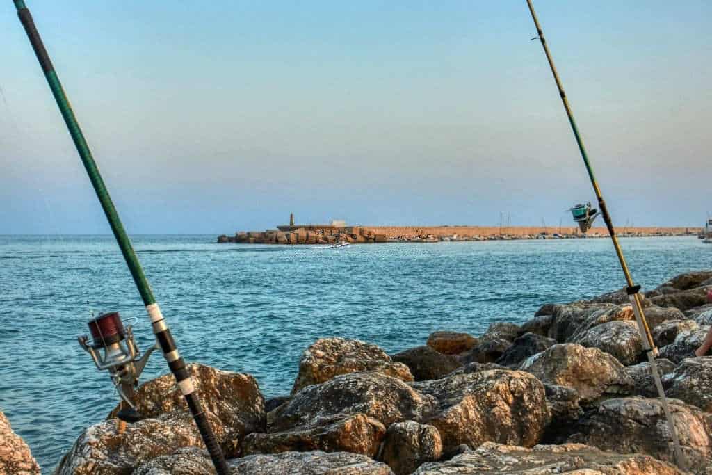 How to Select Best Fishing Rod
